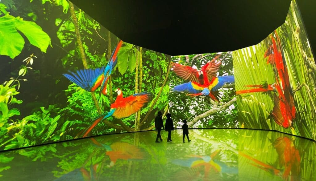 A Moving, All Immersive David Attenborough Narrated Experience